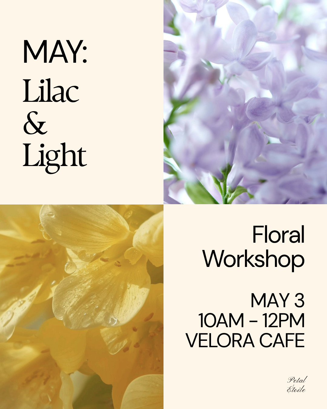 May: Lilac & Light