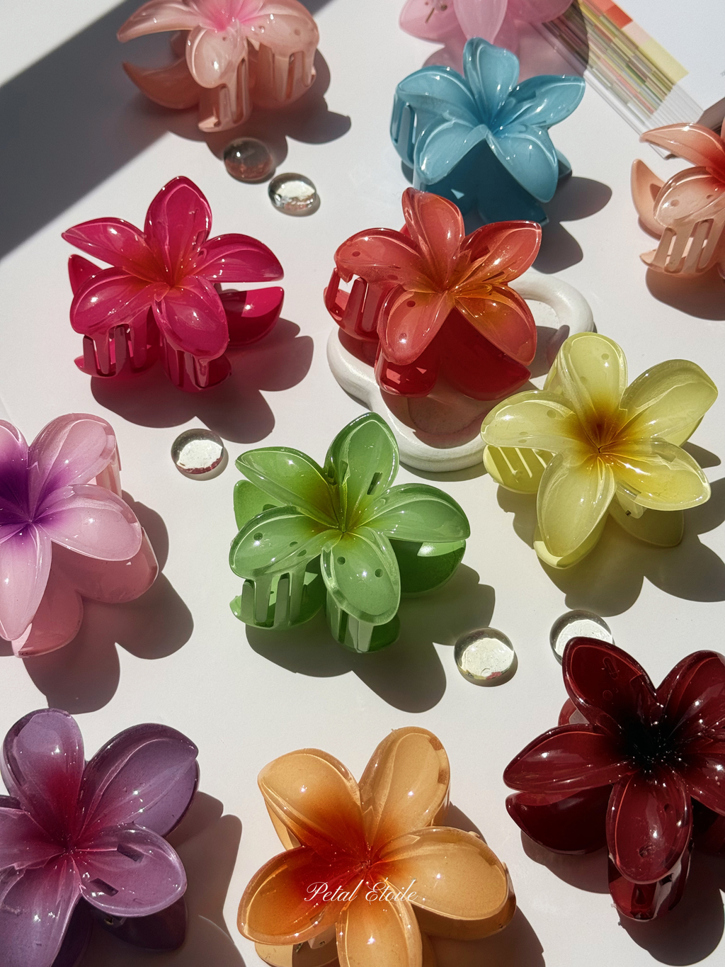 Été Fleur Clips