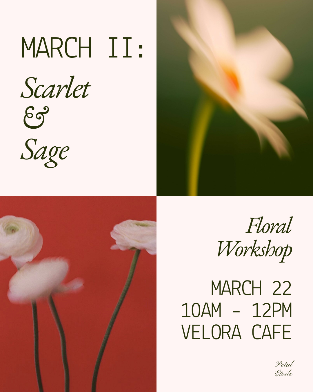 March II : Scarlet & Sage