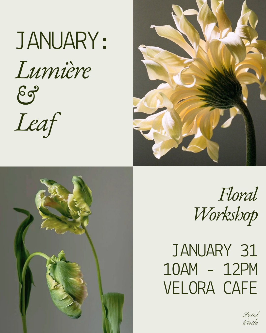 January: Lumière & Leaf