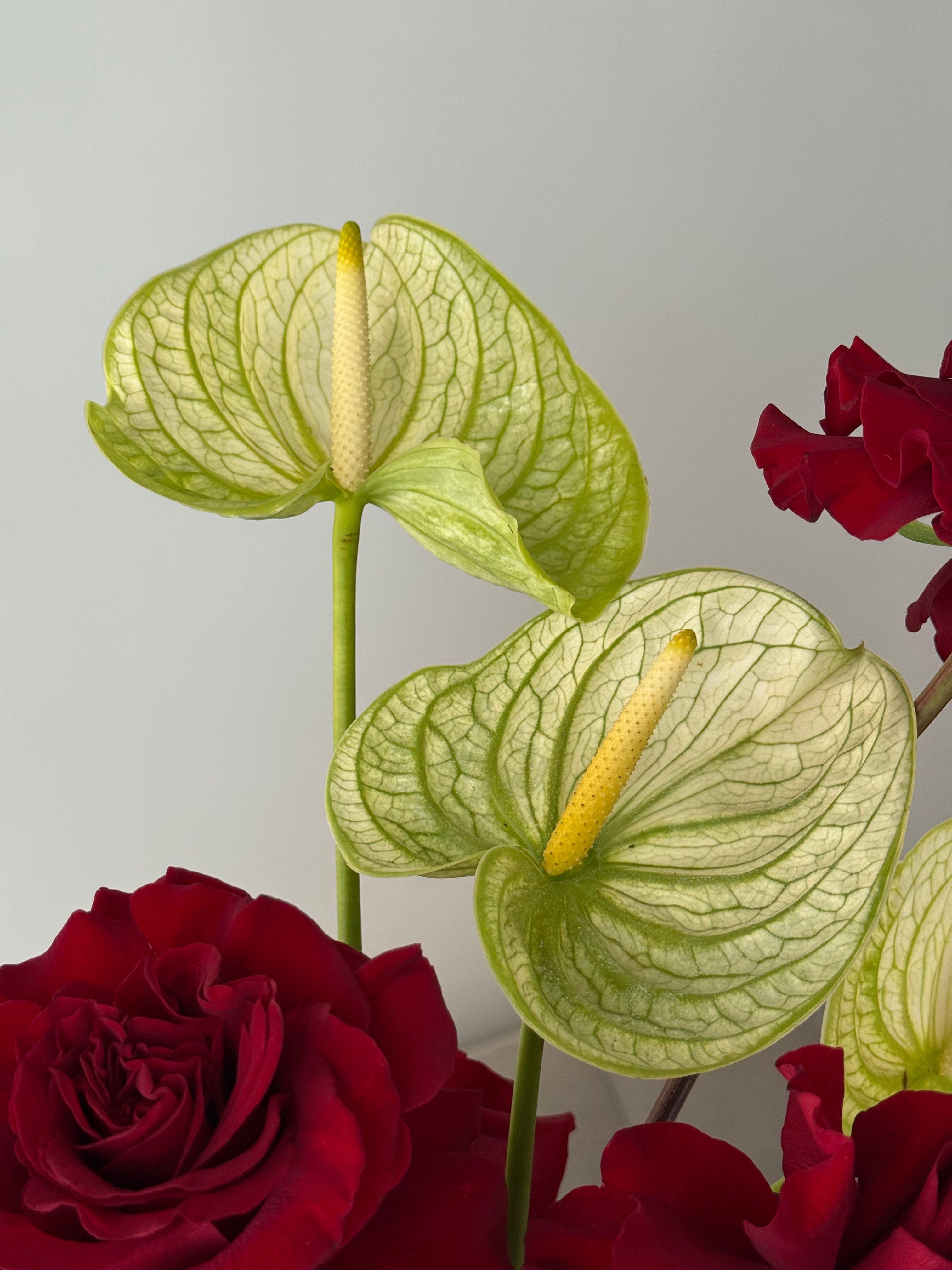 Modern Rose Vase Arrangement