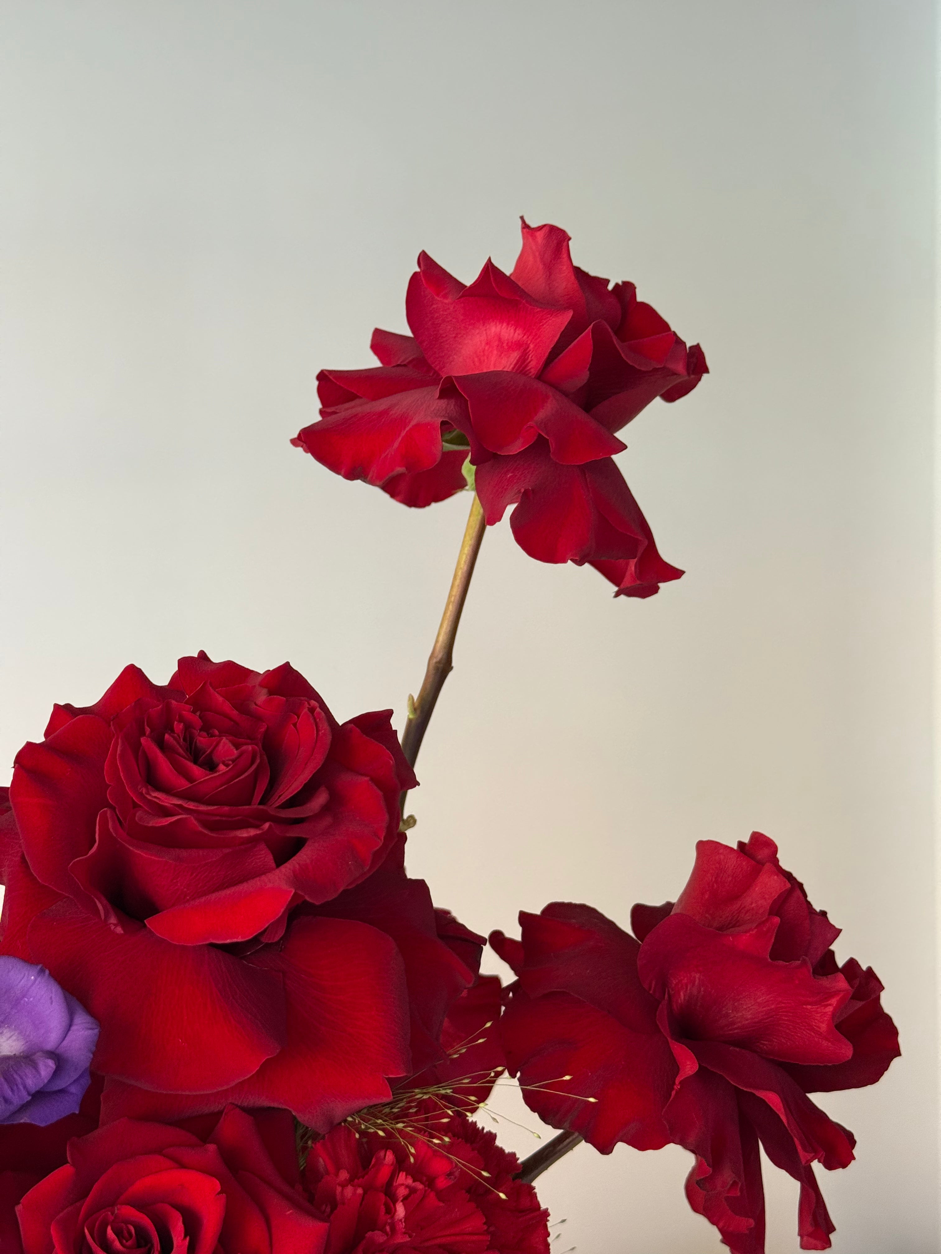 Modern Rose Vase Arrangement